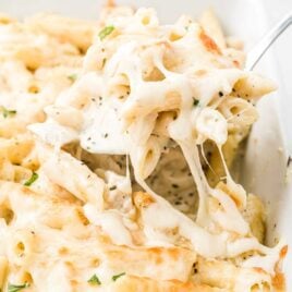close up shot of a baking dish of chicken alfredo bake with a spoon