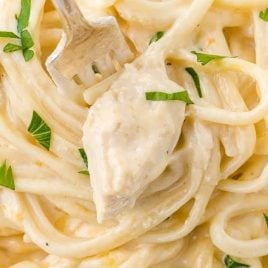 close up shot of Chicken Tetrazzini garnished with parsley with a fork