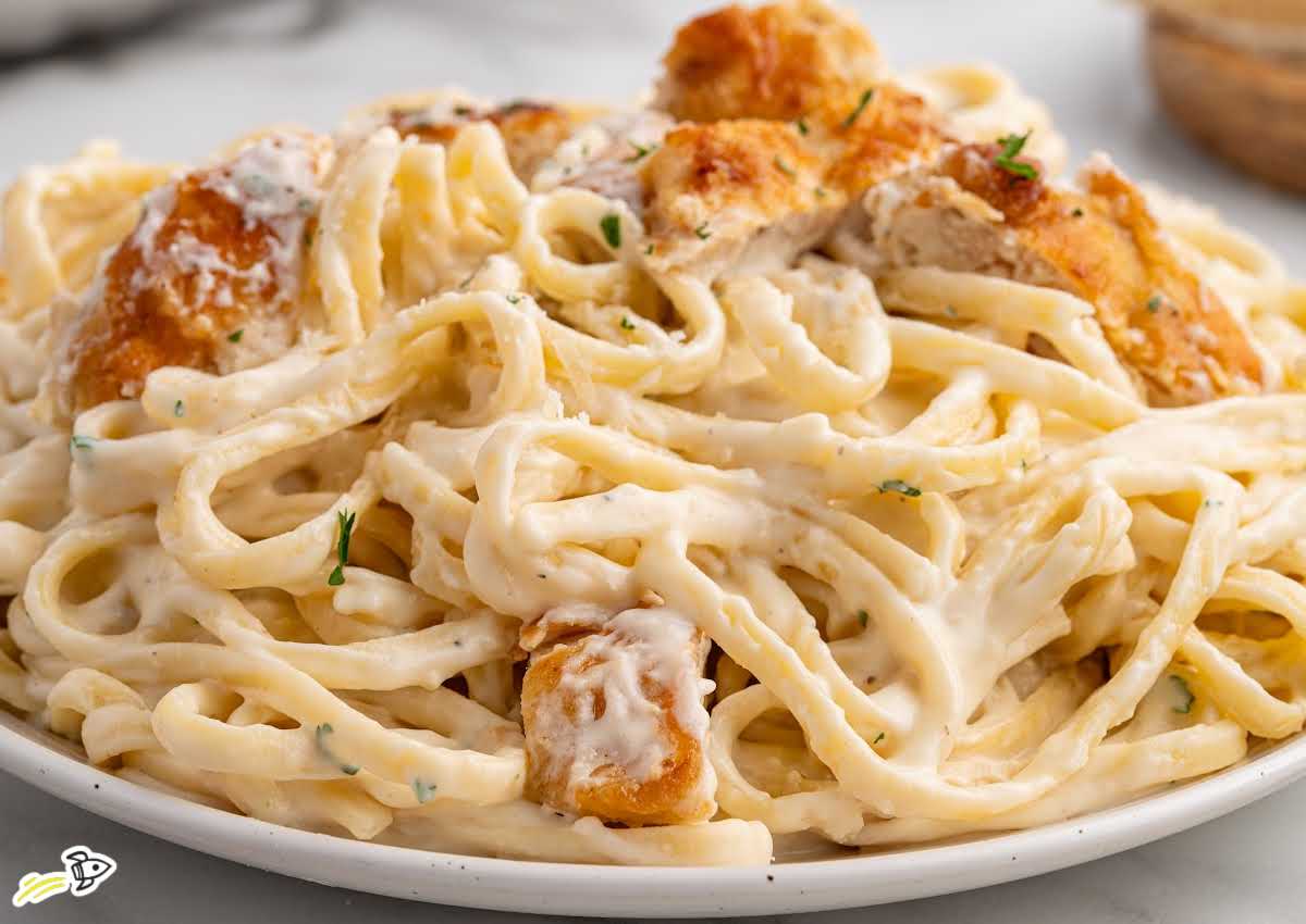 close-up plate of creamy chicken pasta with linguini noodles and golden seared chicken in creamy parmesan sauce