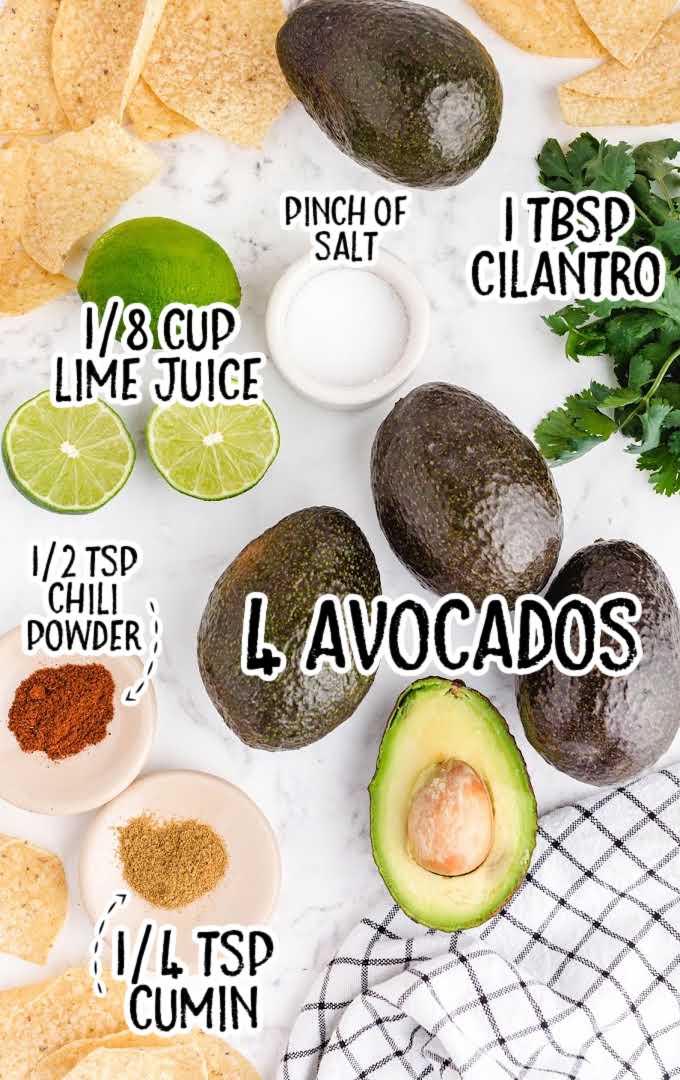 guacamole raw ingredients that are labeled