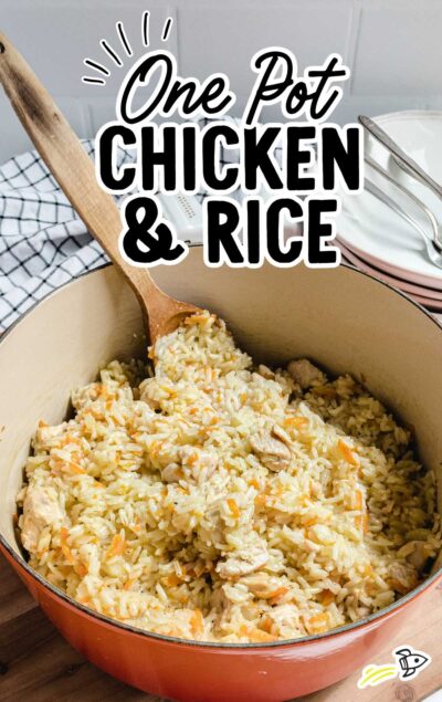 One Pot Chicken and Rice Recipe - Spaceships and Laser Beams