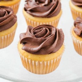 close up shot of boston cream cupcakes with chocolate frosting