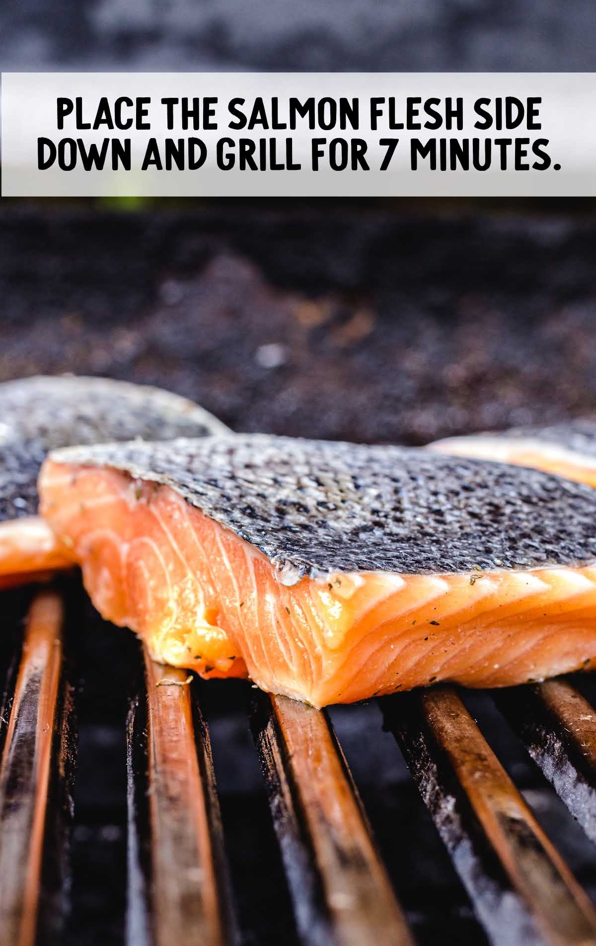 salmon grilled on the grill