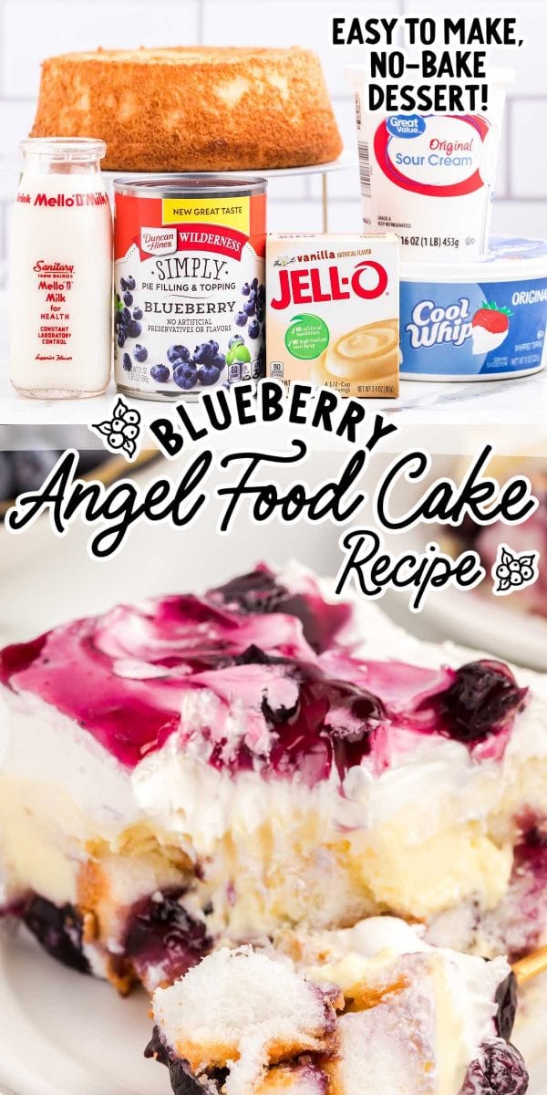 Blueberry Angel Food Cake Spaceships And Laser Beams