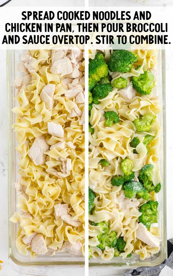 noodles, chicken, broccoli, and sauce placed into a baking dish