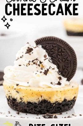 cookies and cream cheesecakes with a Oreo cookie on top on a plate