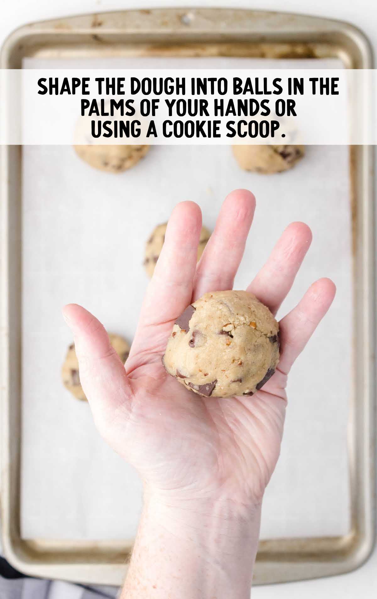 Hand holding a round ball of raw cookie dough over a baking sheet with unbaked cookies.