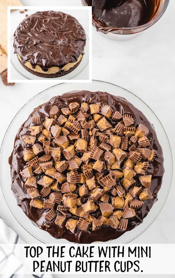 cheesecake topped with pieces of Reese's peanut butter cups