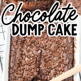 A close-up of a Chocolate Dump Cake in a white dish with chocolate chips on top. A wooden spoon holds a gooey slice above the pan. Text reads Chocolate Dump Cake Recipe and Vintage Recipe.