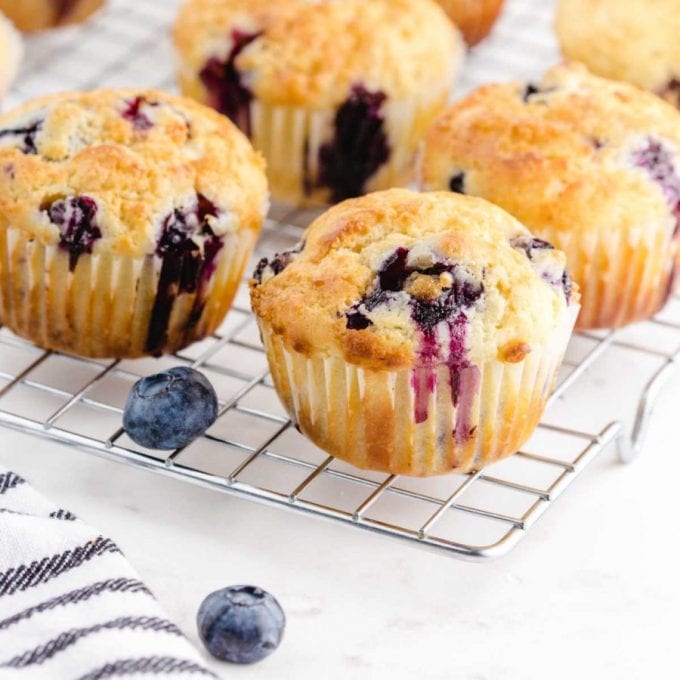 Blueberry Muffins with Sour Cream - Spaceships and Laser Beams