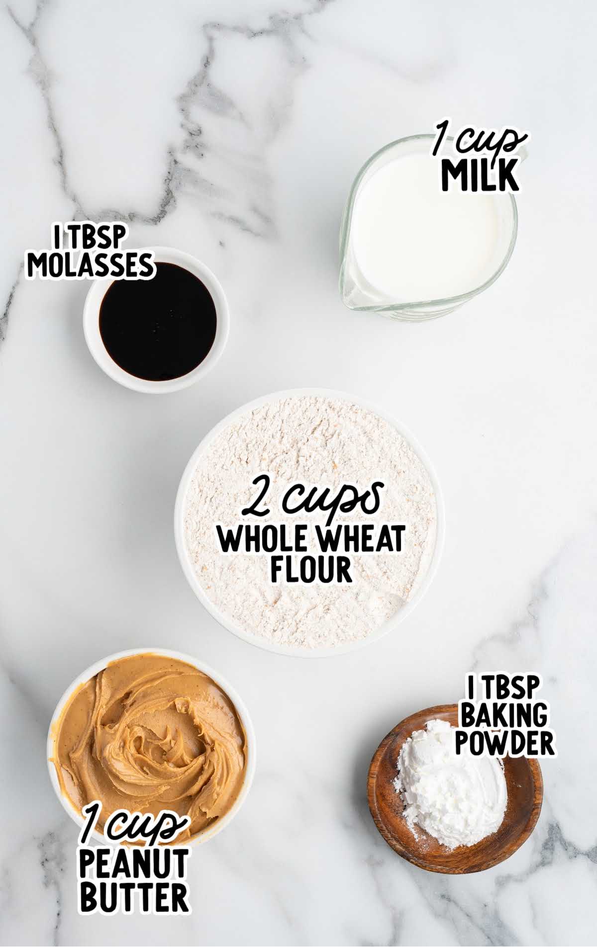 Overhead view of labeled ingredients for homemade dog treats, including whole wheat flour, peanut butter, milk, baking powder, and molasses.