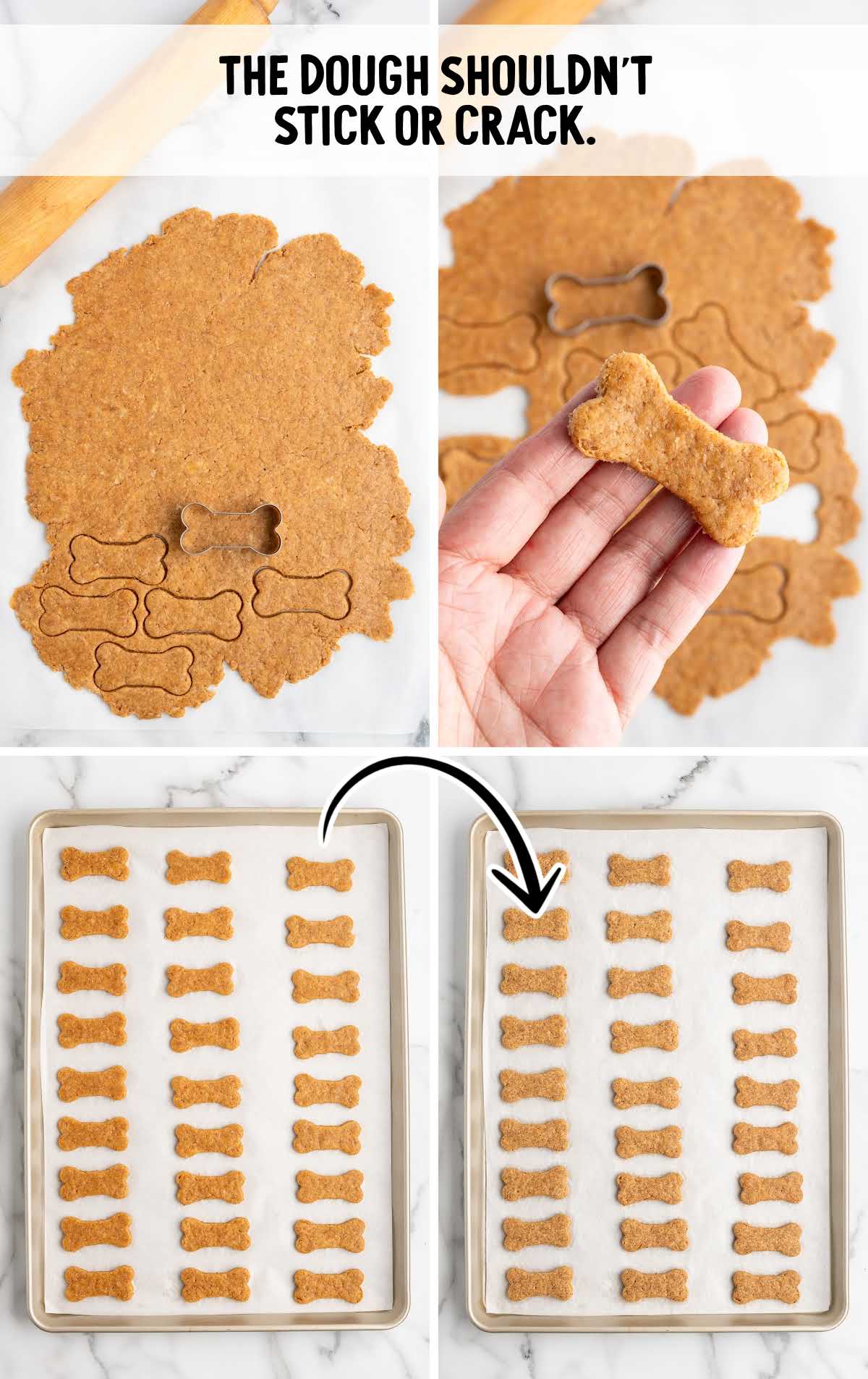 Step-by-step process of rolling, cutting, and arranging bone-shaped dough for homemade dog treats on a baking sheet.