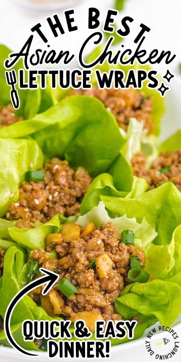 Chicken Lettuce Wraps - Spaceships And Laser Beams