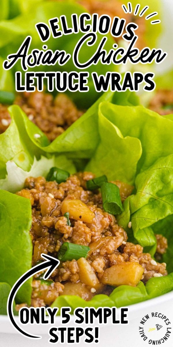 Chicken Lettuce Wraps - Spaceships and Laser Beams