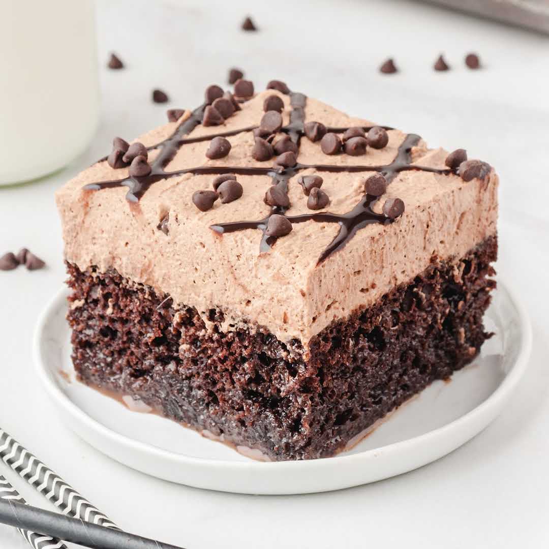 a slice of chocolate cake garnished with chocolate chips on a white plate