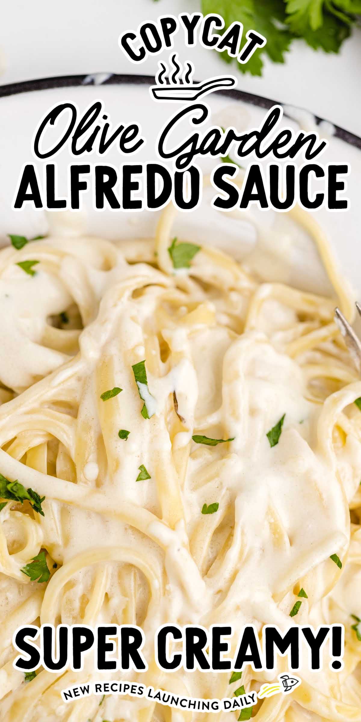 Copycat Olive Garden Alfredo Sauce Spaceships And Laser Beams