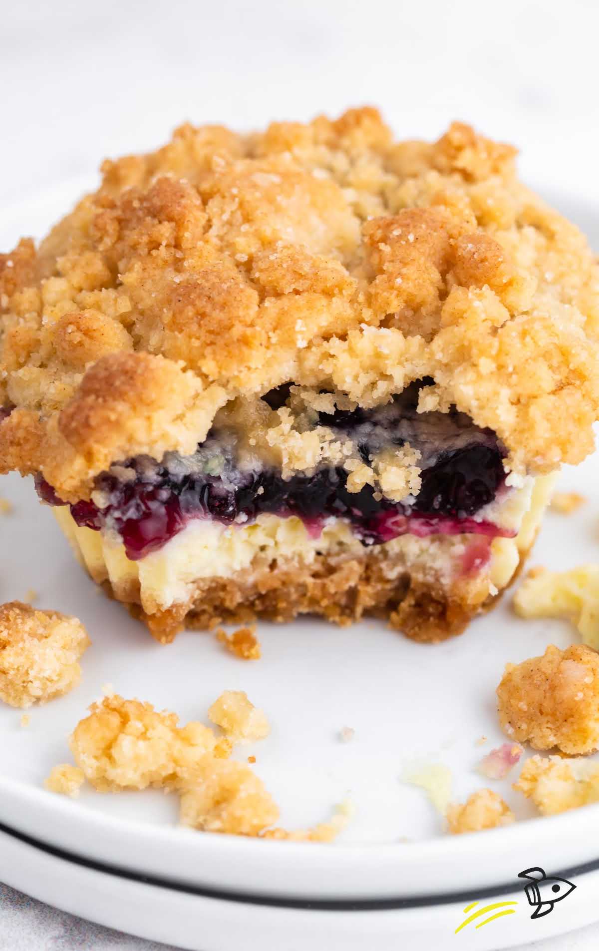 Top-down view of labeled cheesecake ingredients including cream cheese, graham crumbs, blueberry pie filling, and eggs.
