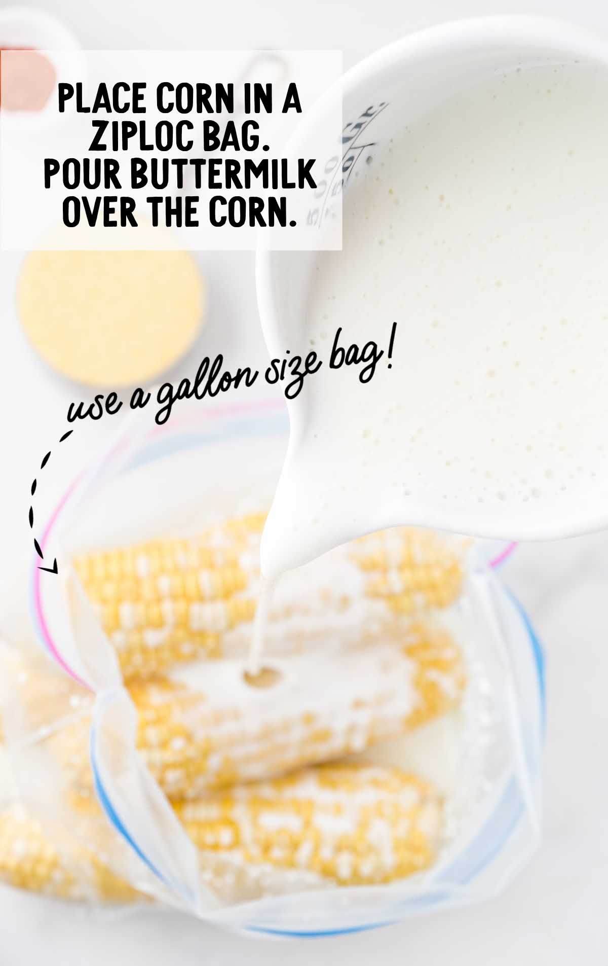 Buttermilk being poured into a Ziploc bag filled with fresh corn on the cob