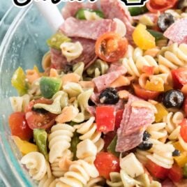 a close up shot of Italian Pasta Salad in a bowl