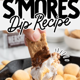 A skillet filled with golden-brown toasted marshmallows over melted chocolate, with a graham cracker dipping into the gooey mix. Text overlay reads, “S’mores Dip Recipe”—the perfect treat for s'mores lovers!.