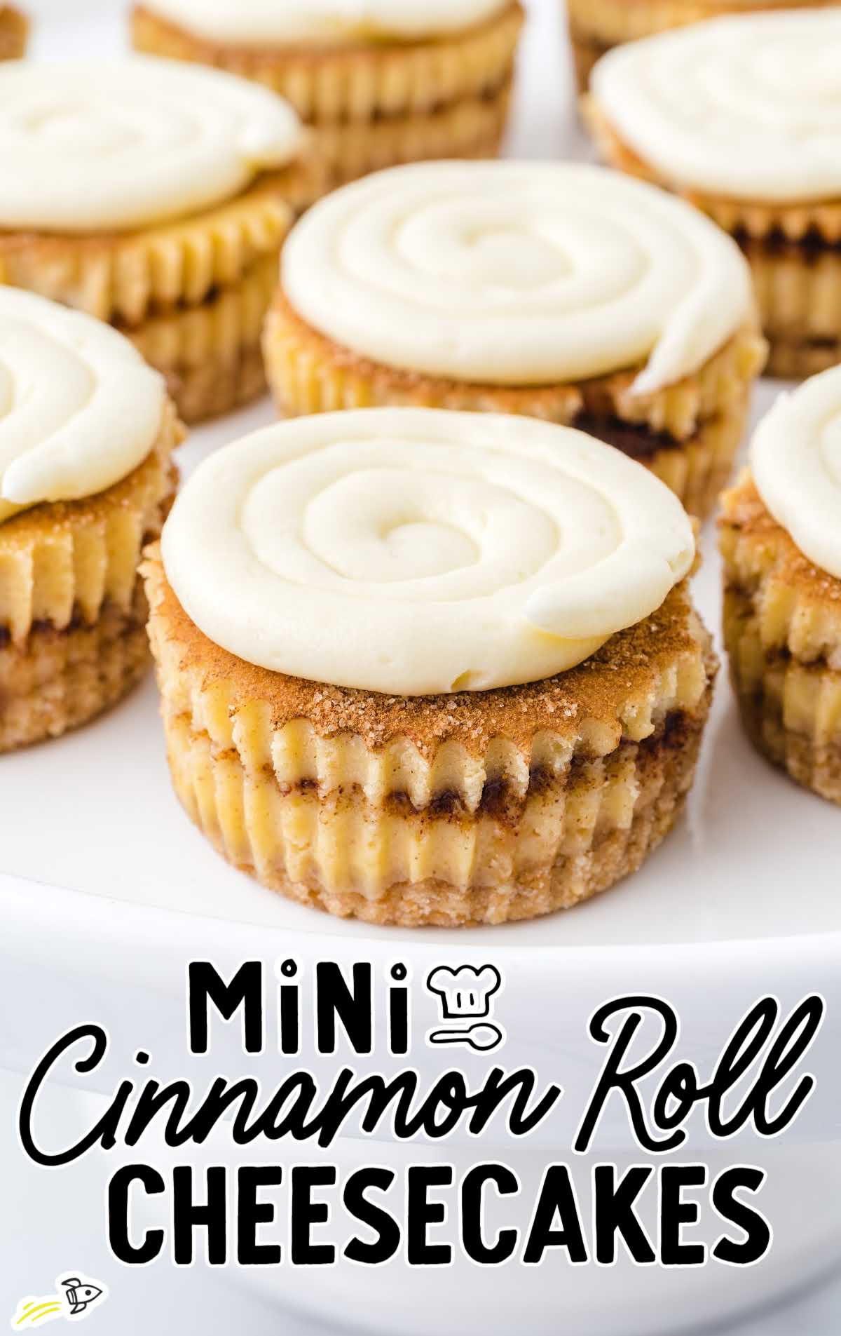 Close-up of a mini cinnamon roll cheesecake showing layers of vanilla wafer crust, cinnamon sugar, and creamy cheesecake