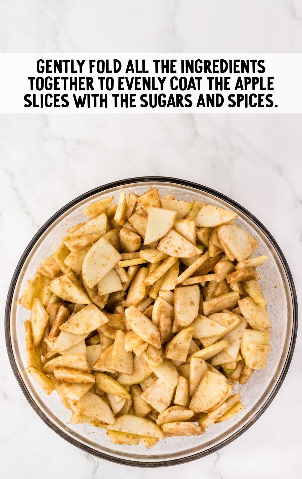 apple slices, light brown sugar, all-purpose flour, granulated sugar, ground cinnamon, ground nutmeg, and vanilla extract combined in a bowl