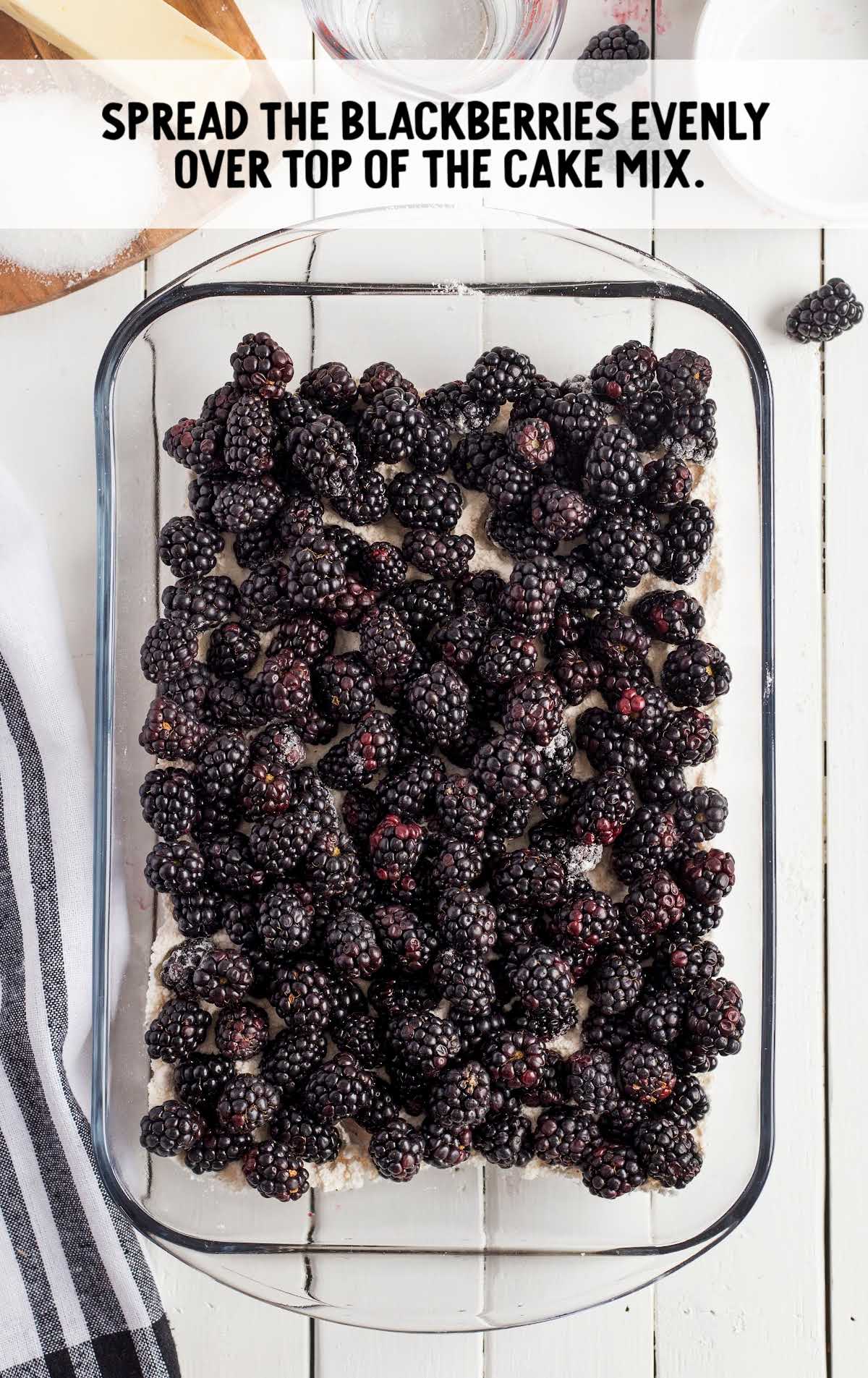 blackberries poured over cake mix in a baking dish