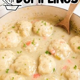 close up shot of a pot of Chicken and Dumplings with a large spoon