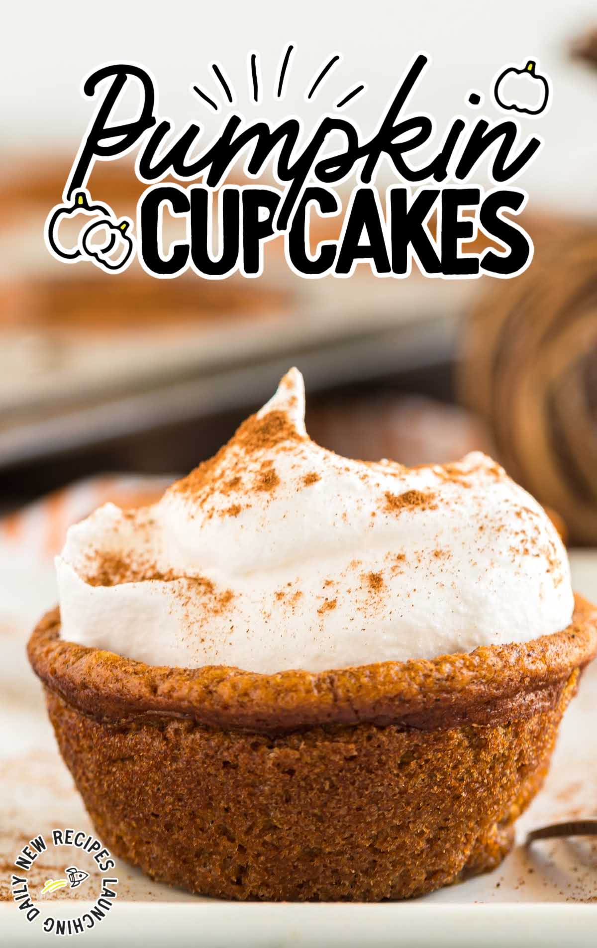close up shot of pumpkin cupcakes with whipped cream frosting and cinnamon on the top