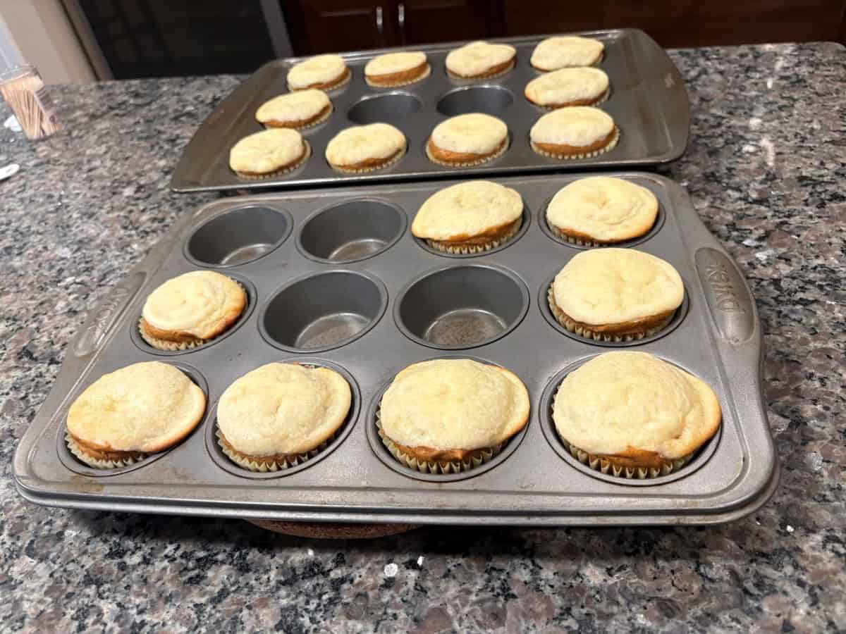 Two muffin pans filled with freshly baked muffins rest on a granite countertop. The muffins are light golden brown and still in paper liners, with some empty spaces in the back pan—perfect for showcasing a delicious Pumpkin Cream Cheese Muffins recipe.
