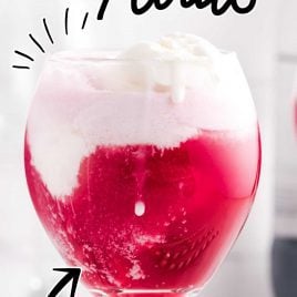 close up shot of a glass of Red Wine Floats with vanilla ice cream on top