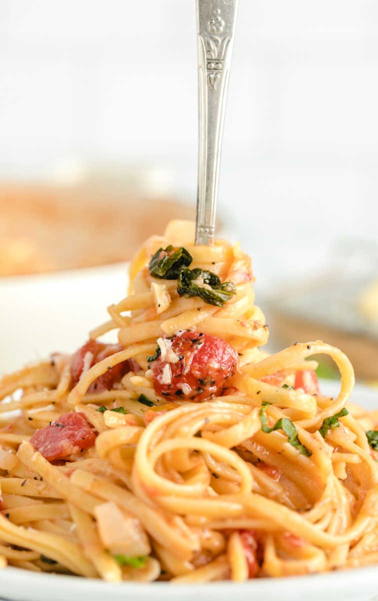 close up shot of a serving of one pot pasta on a plate being twirled with a fork