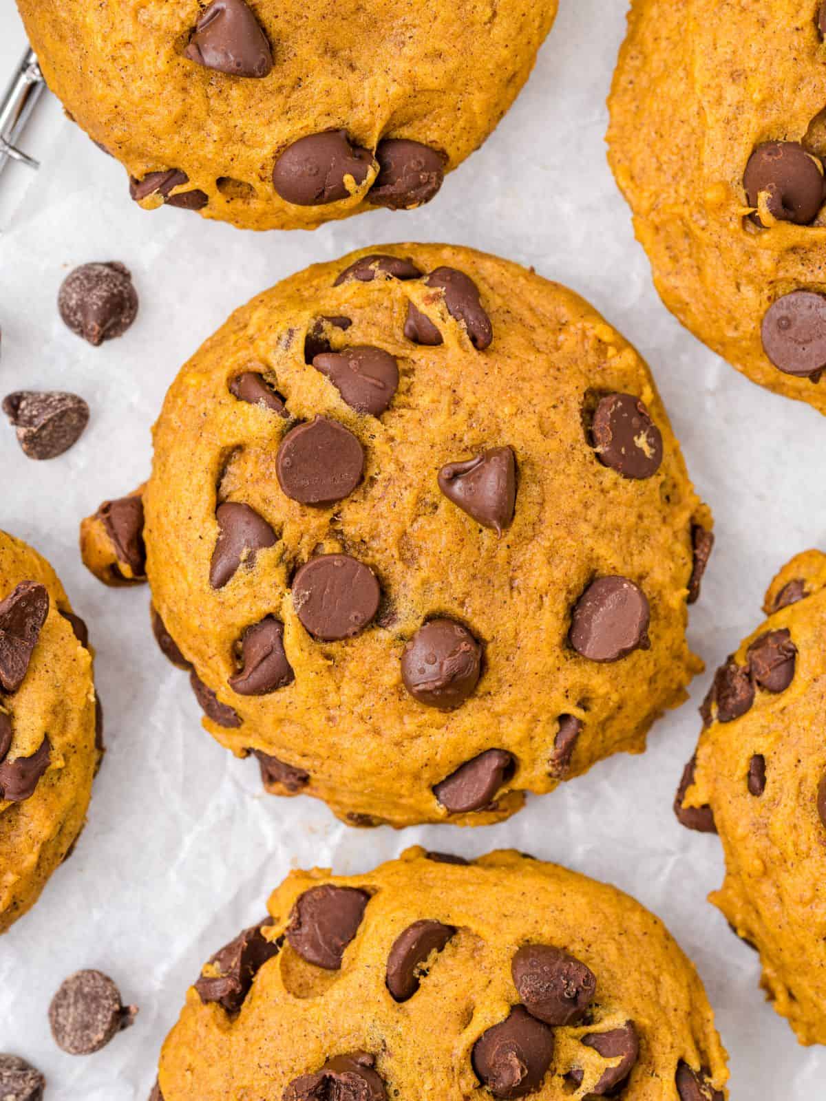 Close-up of several homemade Pumpkin Chocolate Chip Cookies on parchment paper, with scattered chocolate chips around them. The cookies appear soft and golden brown, perfectly capturing the essence of this delicious Pumpkin Chocolate Chip Cookies Recipe.