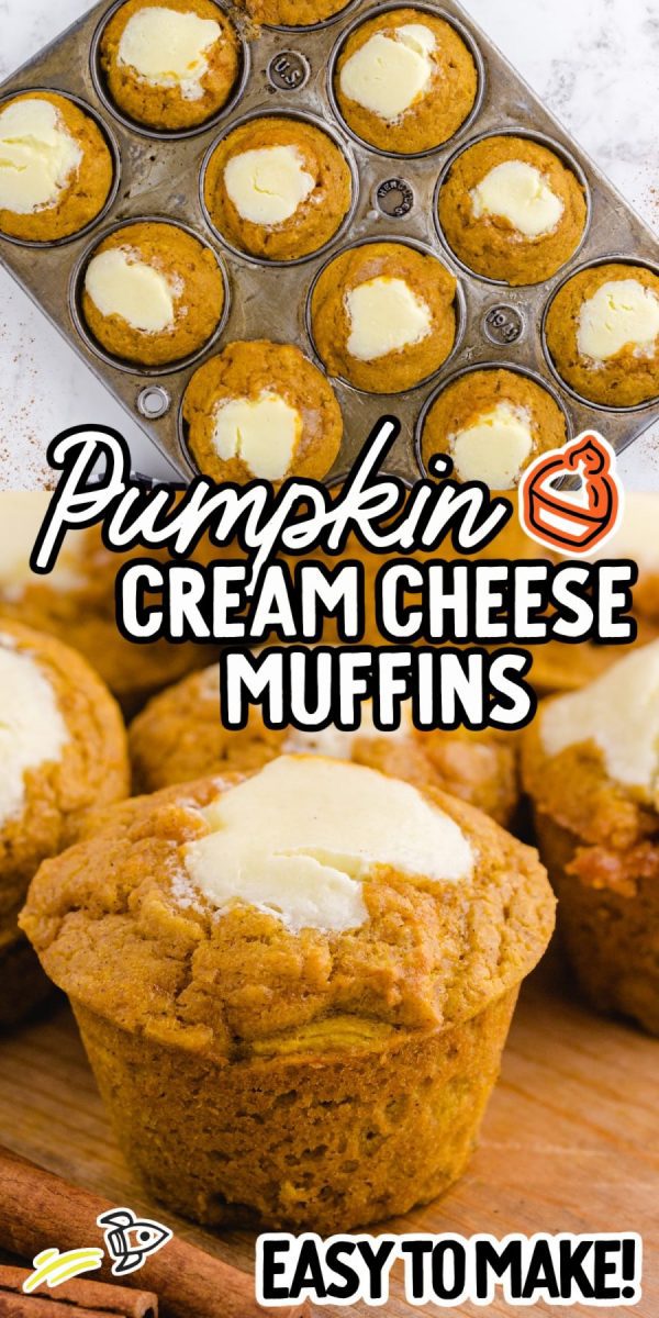 Pumpkin Cream Cheese Muffins - Spaceships and Laser Beams