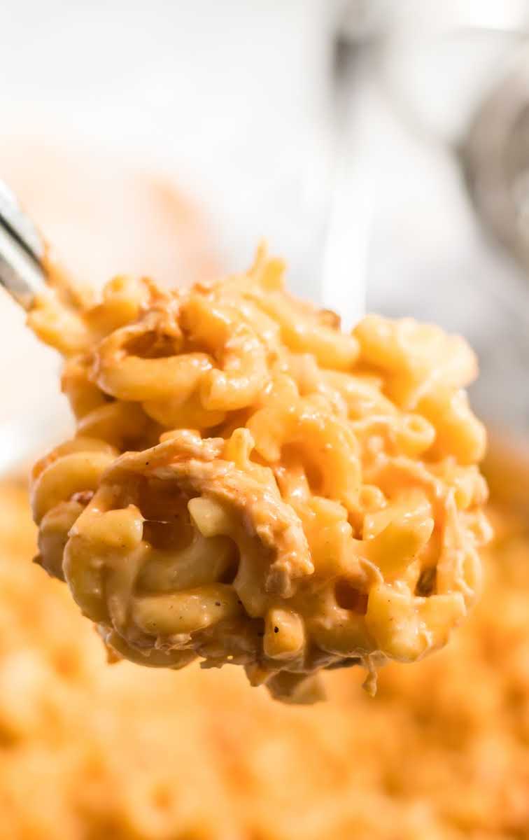 close up shot of Buffalo Chicken Mac and Cheese on a spoon