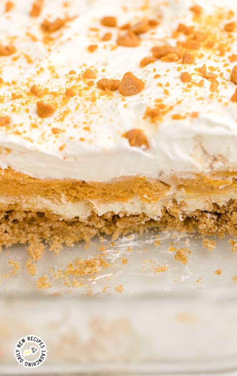 close up shot of Butterscotch Delight in a dish