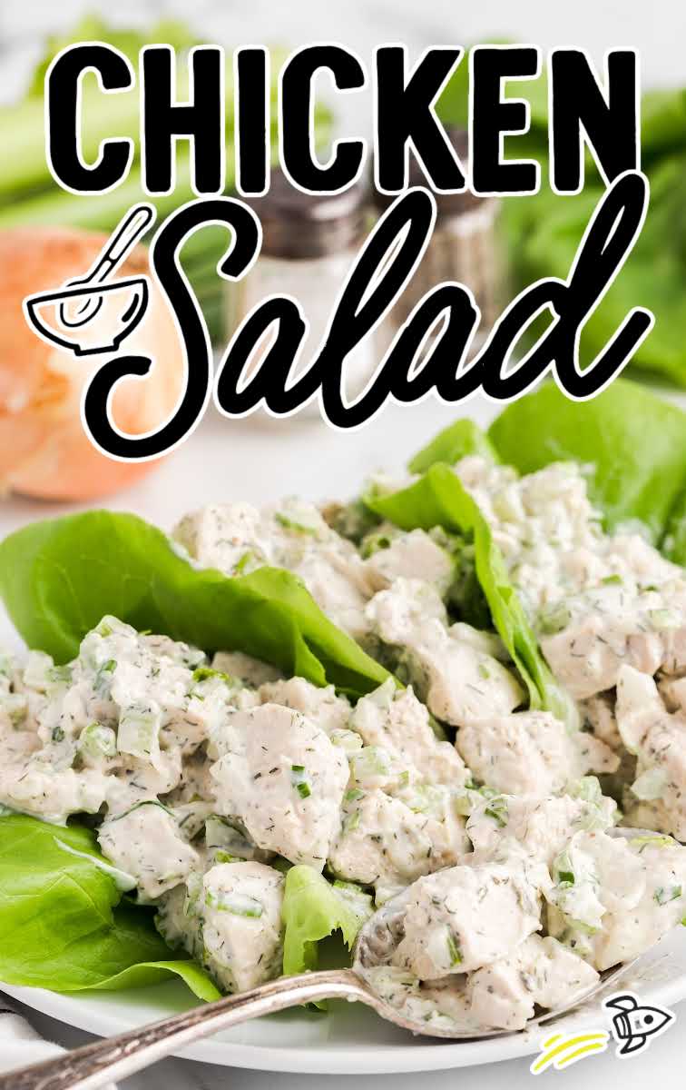 close up shot of chicken salad served over lettuce on a plate