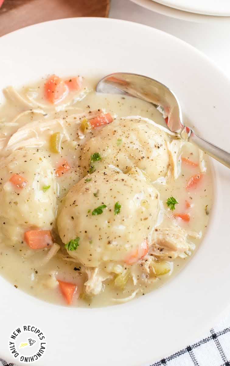 close up shot of a serving of Chicken and Dumplings in a bowl with a spoon