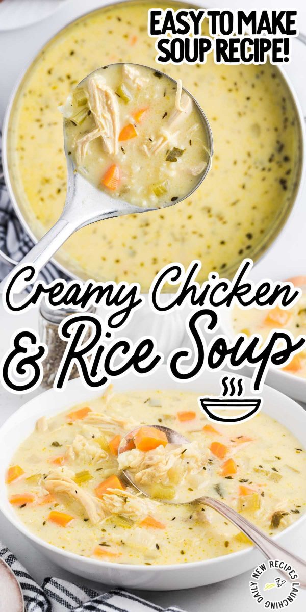 Creamy Chicken and Rice Soup - Spaceships and Laser Beams