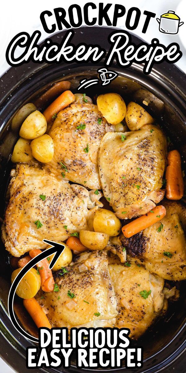 Slow Cooker Chicken Thighs - Spaceships and Laser Beams