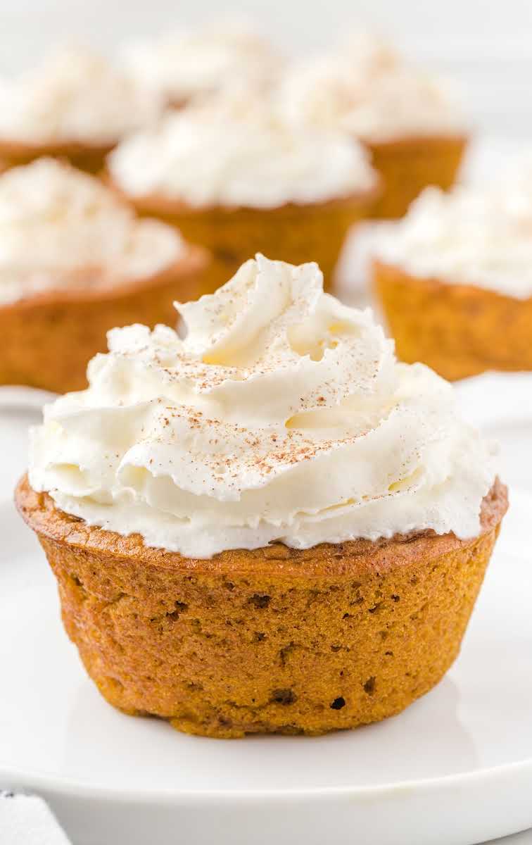 close up shot of impossible pumpkin pie cupcakes topped with whip cream and cinnamon on a white plate