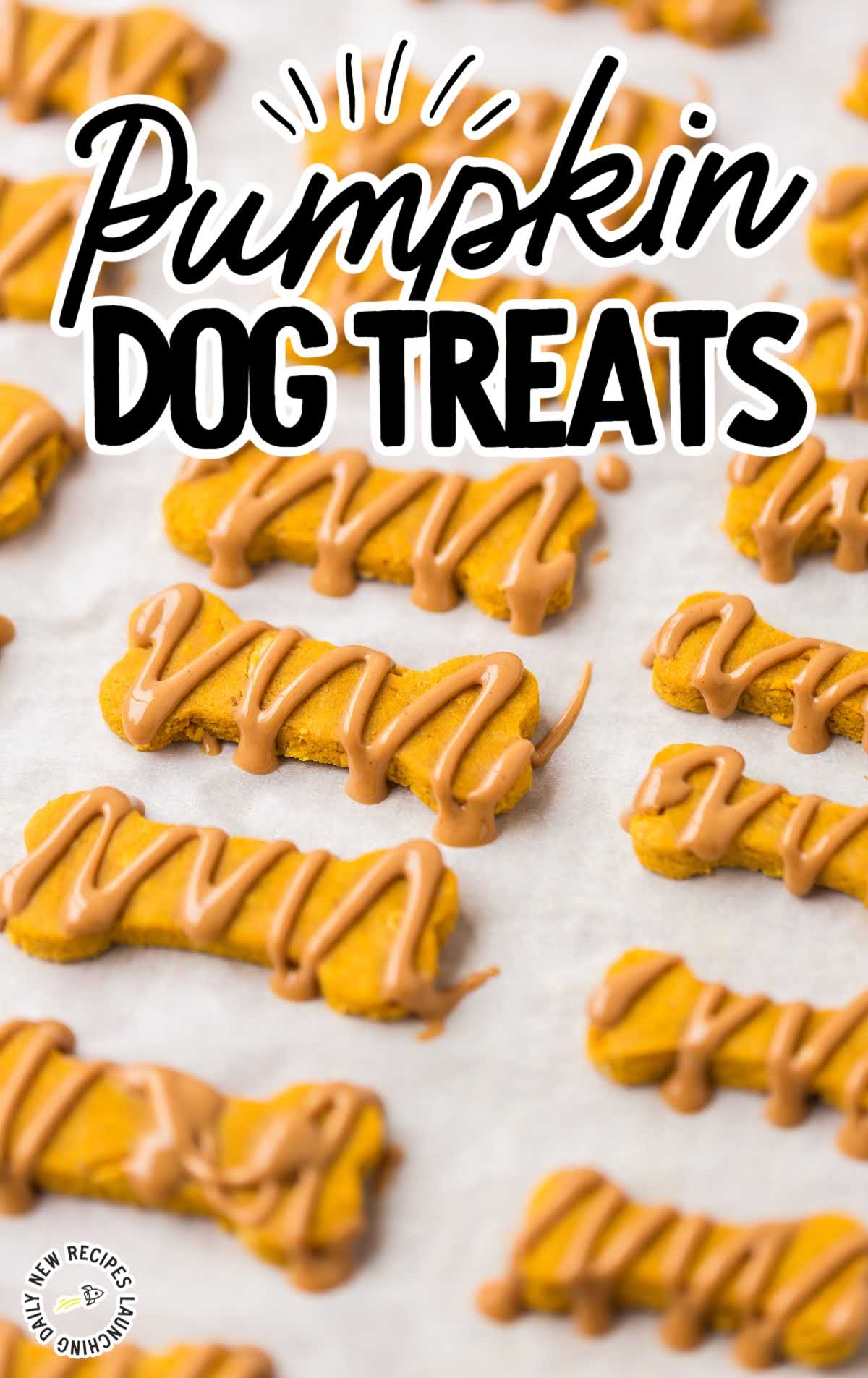 Homemade pumpkin dog treats shaped like bones and drizzled with peanut butter on parchment paper.