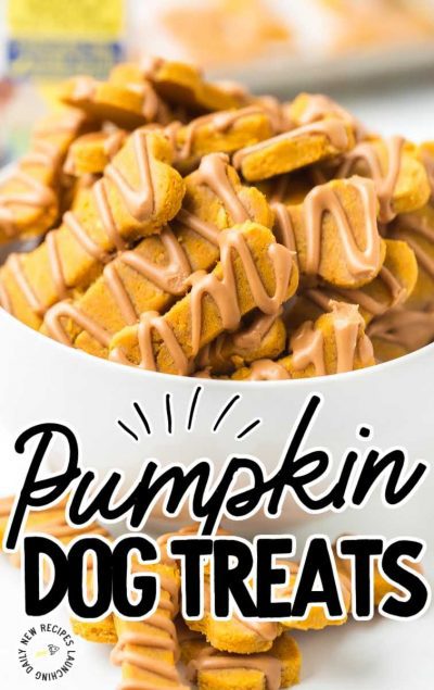 Homemade Pumpkin Dog Treats - Spaceships and Laser Beams