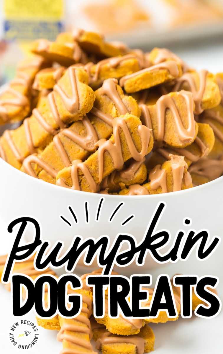 close up shot of Pumpkin Dog Treats drizzled with peanut butter and piled in a bowl