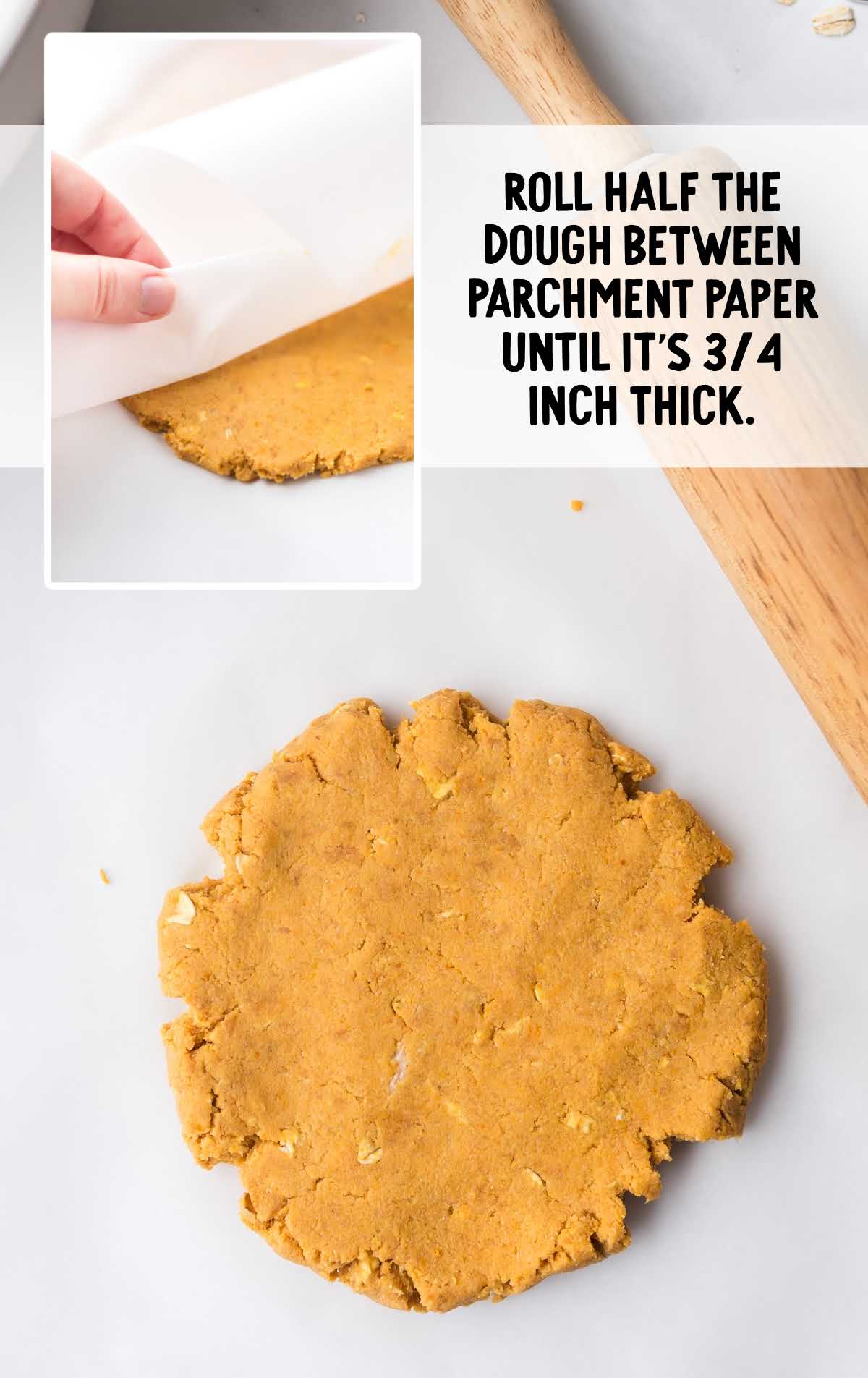 Pumpkin dog treat dough being rolled between parchment paper with a rolling pin.