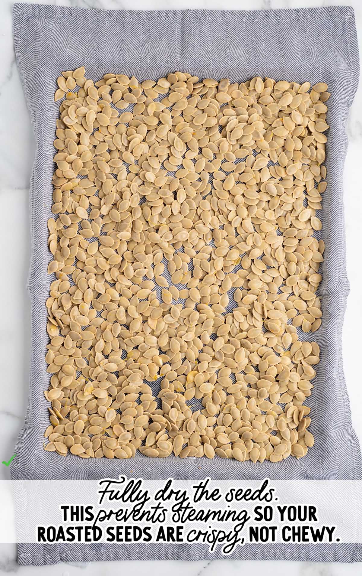 Boiled pumpkin seeds draining in a colander before drying