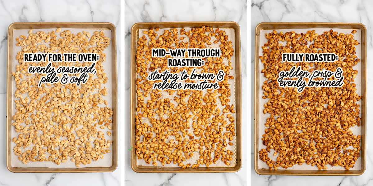 Pumpkin seeds spread on a towel to dry completely before roasting