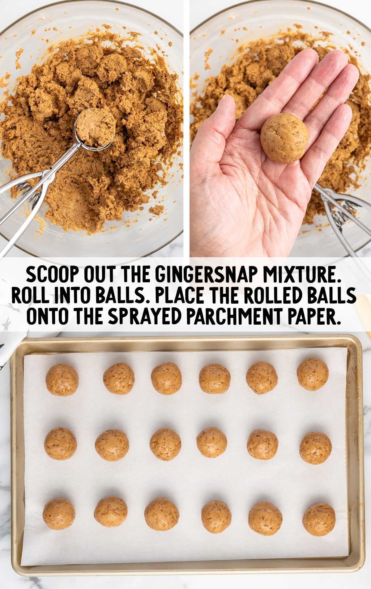 gingersnap mixture rolled into balls and placed on a parchment lined baking sheet