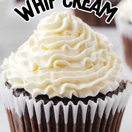 a close up shot of Stabilized Whipped Cream on a cupcake