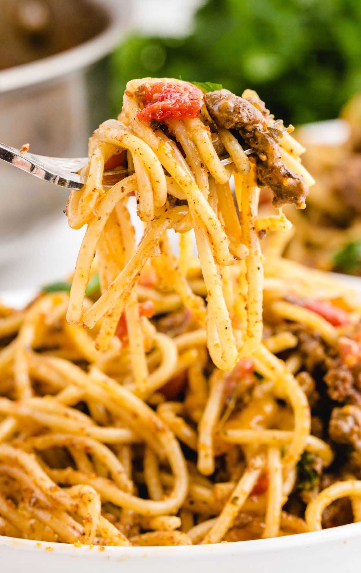 close up shot of a serving of Spaghetti topped with cilantro on a plate and on a fork